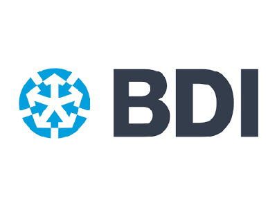 LOGO BDI